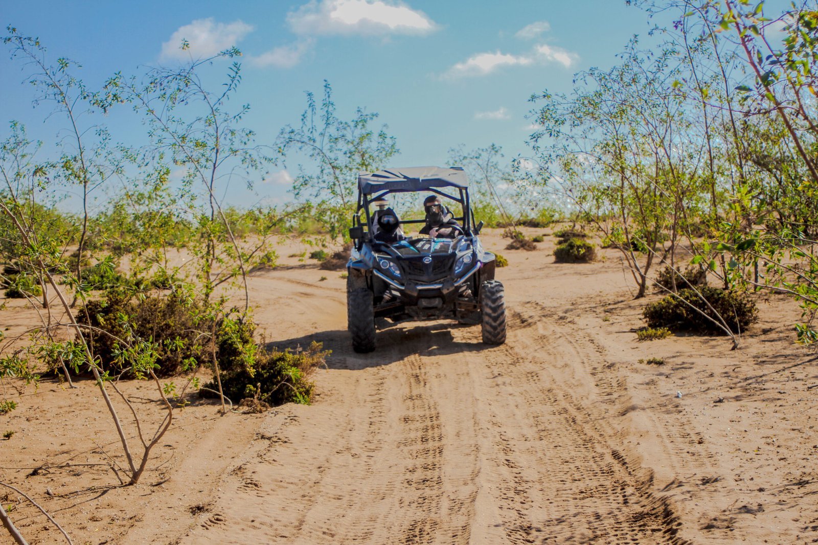 Sandboarding and Buggy Ride Adventure in Agadir Morocco