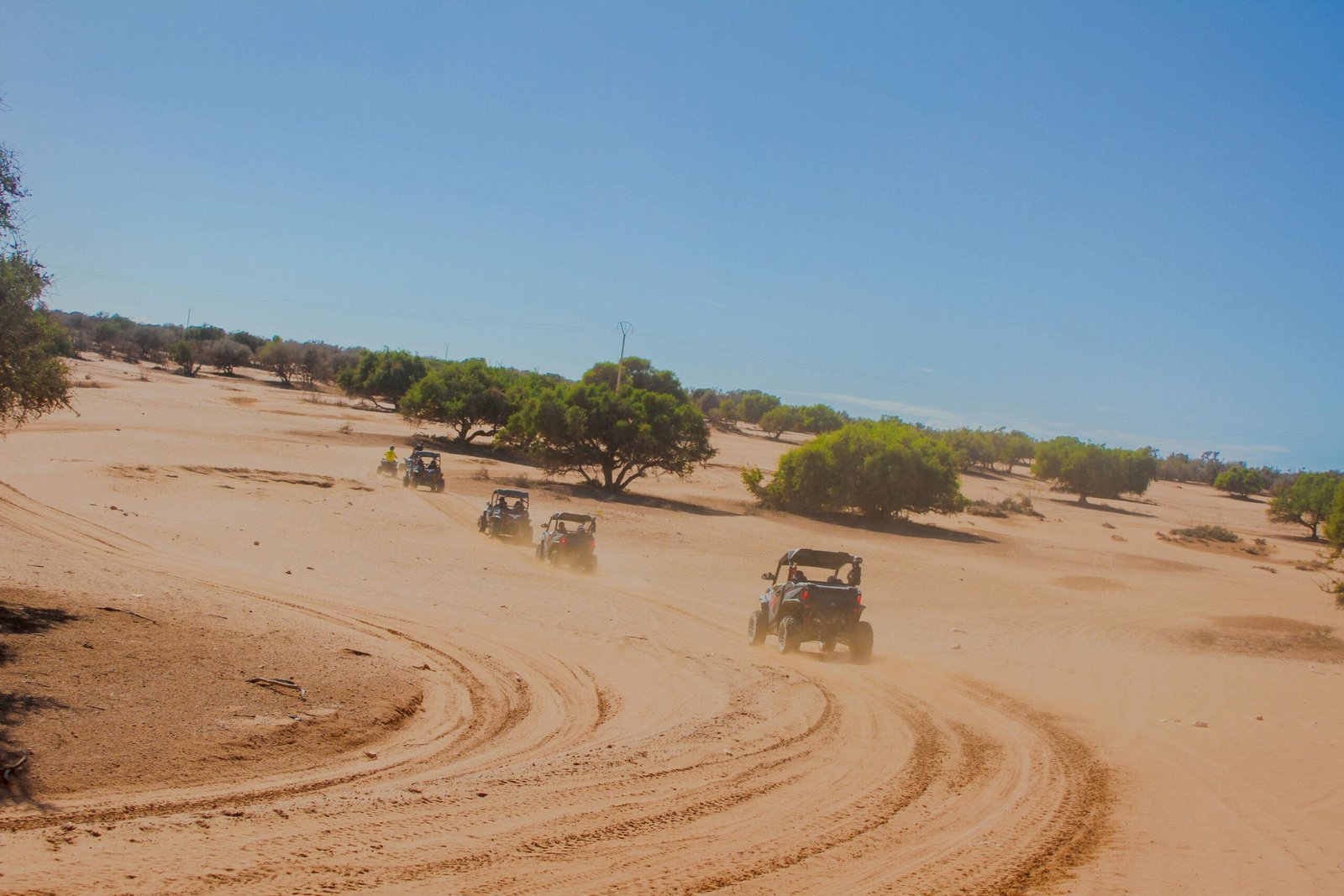 Desert Buggy Ride
