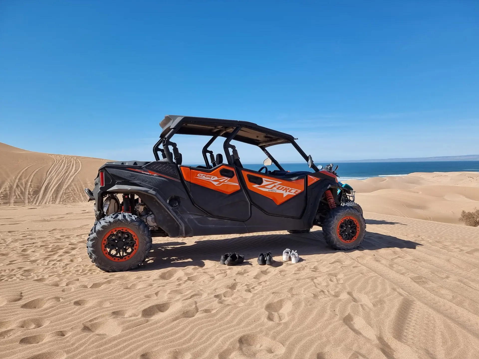 Family Buggy Tour